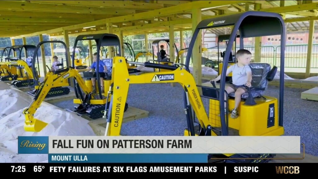 Fall Fun On Patterson Farm