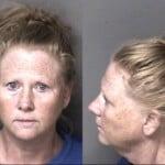 Angela Mowlds Misd Crime Of Dom Violence
