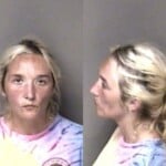 Andrea Aumock Larceny Misdemeanor