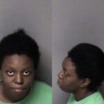 India Hall Dwi