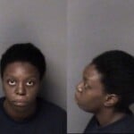 India Hall Dwi