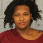 Olivia Pelt Fugitive