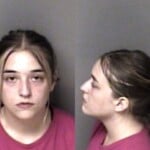 Karlie Diaz Misd Crime Of Dom Violence