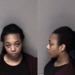 Maya Mcclure Dwi Hitrun Leave Scene Property Damage