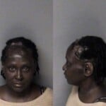 Cathryn Tate Telephone Misuse Of 911 System
