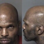Matrai Davis Habeas Corpus