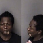 Sandra Glenn Habitual Larceny