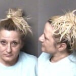 Summer Bolt Larceny