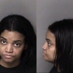 Cecila Pittslove Habitual Larceny