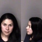 Raquel Jimenez Sch Ii Possess Hitrun Leave Scene Property Damage Reckless Driving Wanton Disregard Dwi Open Container After Consuming Alcohol Fail To Heed Light Or Siren Dwlr Impaired Rev
