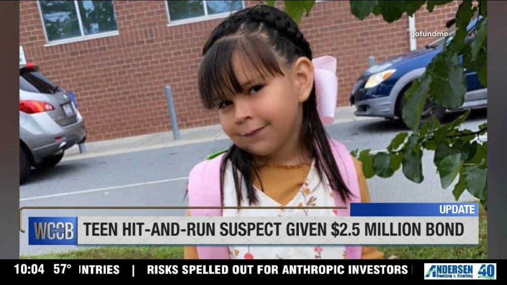 Teen Hit And Run Suspect Given $2.5m Bond