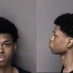 Janarri Woody Injury Personal Property