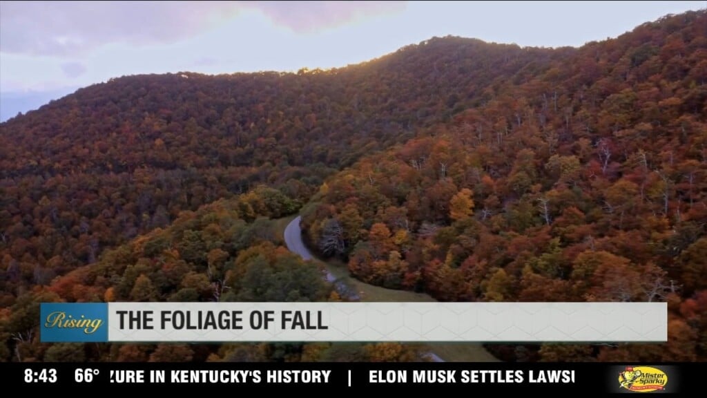 When To Expect Peak Color Across The Nc Mountains