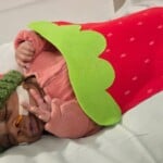Nicu Halloween Strawberry Piedmont