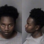 Brianna Sampson Financial Identity Fraud