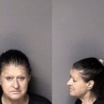 Debra Atwood Assault Smple