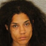 Destini Ezell Breaking And Entering