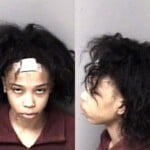 Heavenley Murray Misd Crime Of Dom Violence