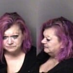 Melissa Torres Habitual Larceny