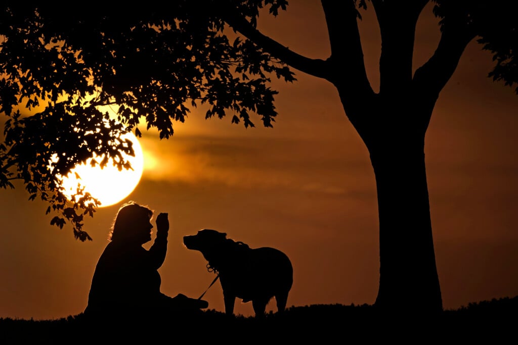 Be Well Time Change Explainer