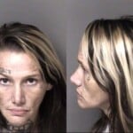 Courtney Landers Possess Stolen Motor Vehicle
