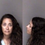 Marsha Dickerson Misd Crime Of Dom Violence