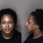 Chavia Mcdowell Breakenter Larceny