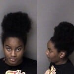 Tandrea Farr Sch Vi Possess Aa Dwlr Not Impaired Rev Registration Platecard Fictitiouscanceledrevoked Insurance No Liability