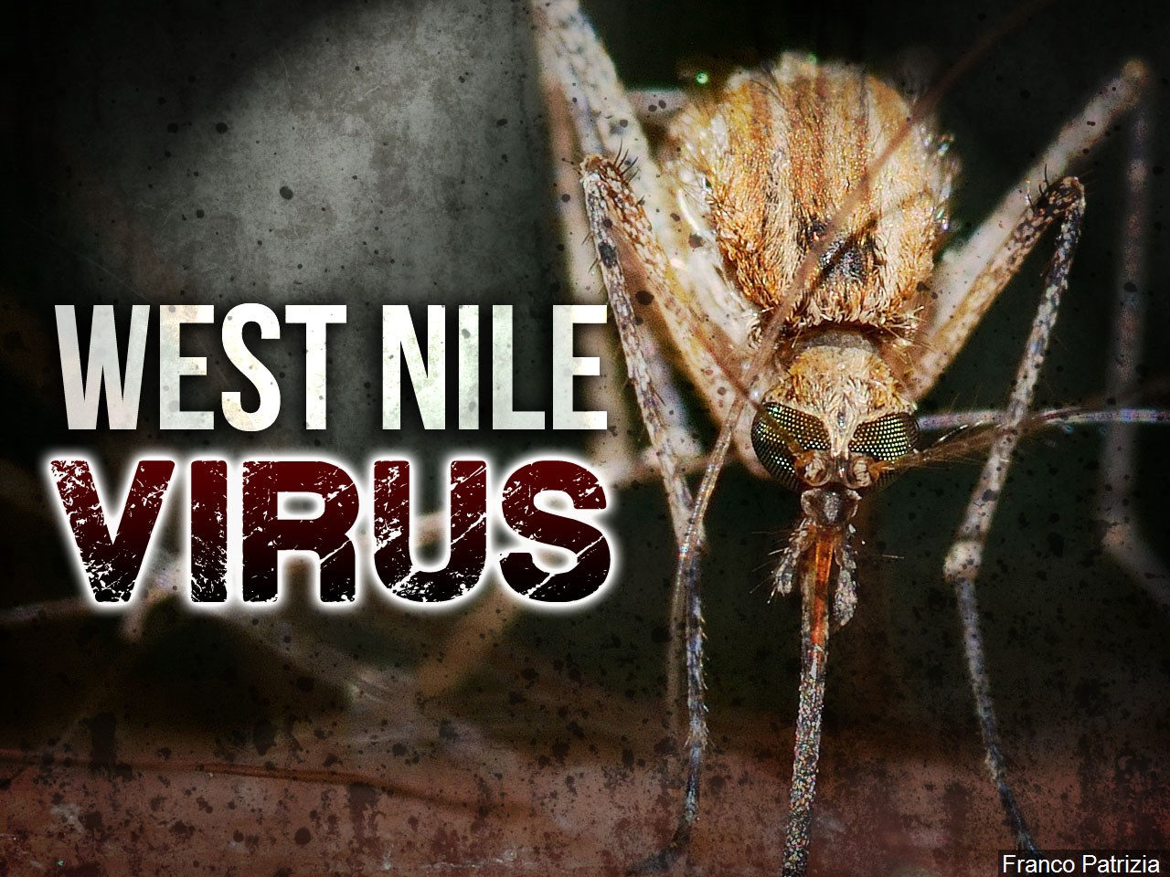 Update West Nile Cases in 1 Death WDEF