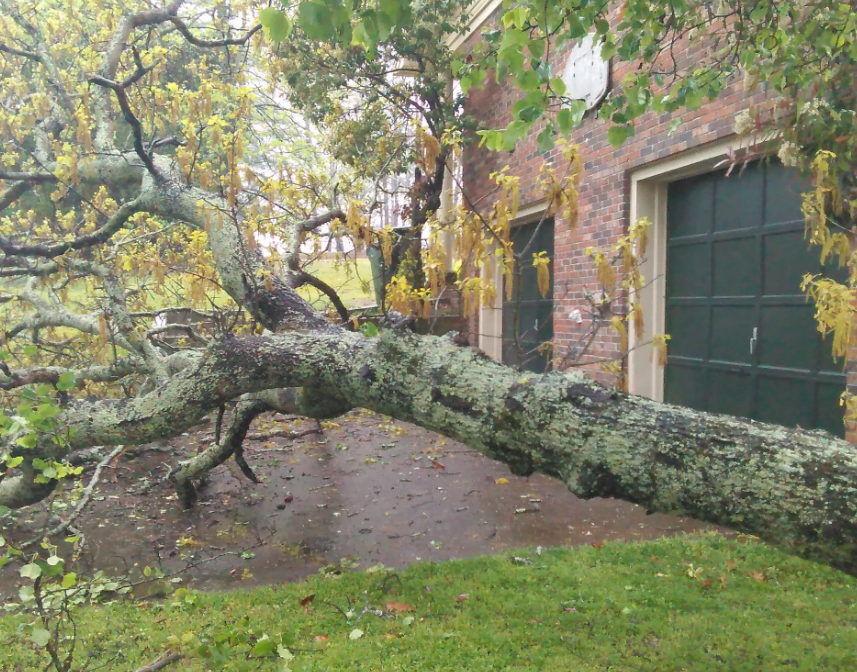 Rainstorm leaves tree blocking driveway of a Chattanooga resident - WDEF