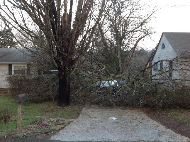 damage from tree falling on house and car