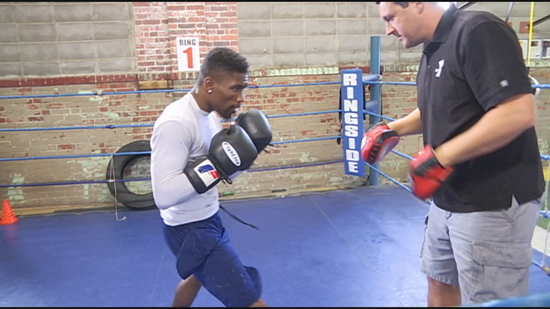 Local Boxer Rodger 