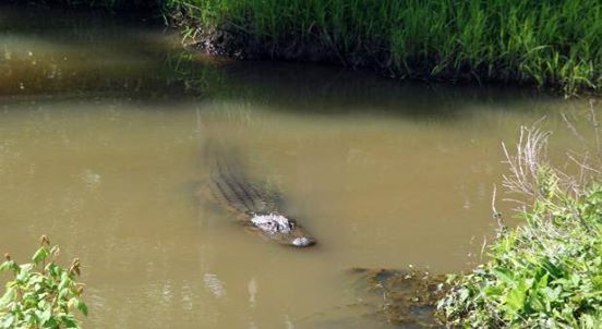 Flat Creek Floyd