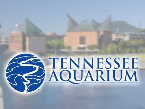 Tennessee Aquarium