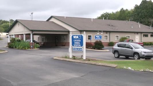 Burglars targeting animal health care facilities in Catoosa, Whitfield and Bradley Counties - WDEF Burglars targeting animal health care facilities in Catoosa, Whitfield and Bradley Counties - WDEF