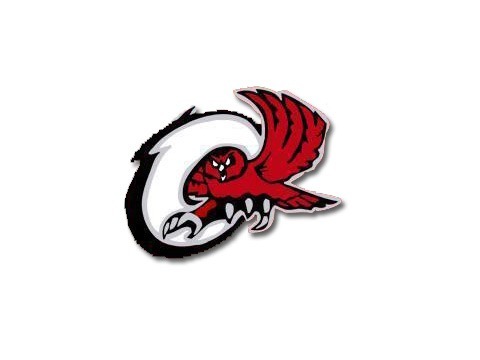 Ooltewah Coach
