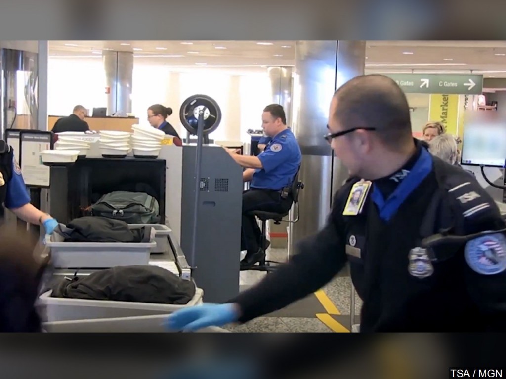 TSA security scan