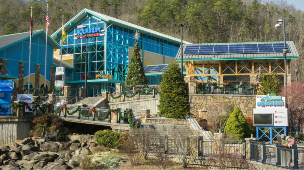 Ripley's Aquarium of the Smokies installs solar panels