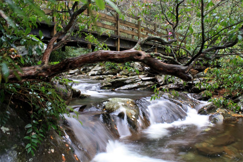 A Rainy day in the Great Smoky Mountains.