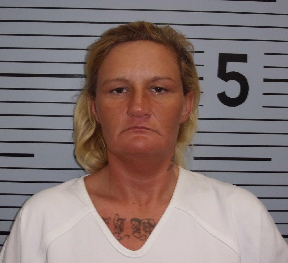 Bryant Meth Bust