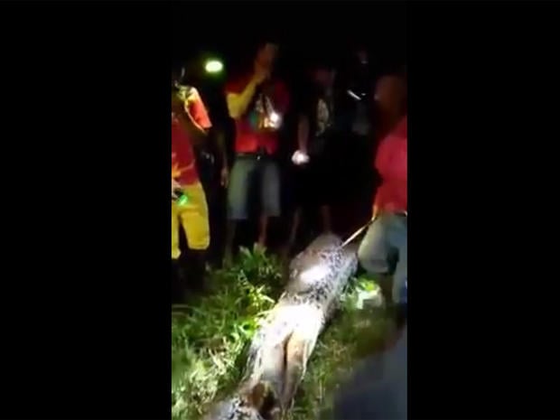 Man found dead in python's stomach 