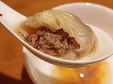 bite-out-of-a-soup-dumpling-promo.jpg 