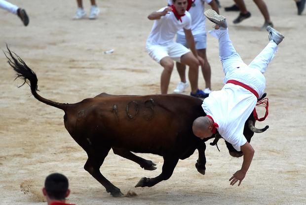 A reveller is tossed by a heifer during festivities of the San Fermin festival at the bullring in Pamplona