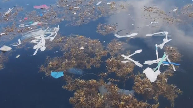 floating-trash-island-off-honduras-b-620.jpg 