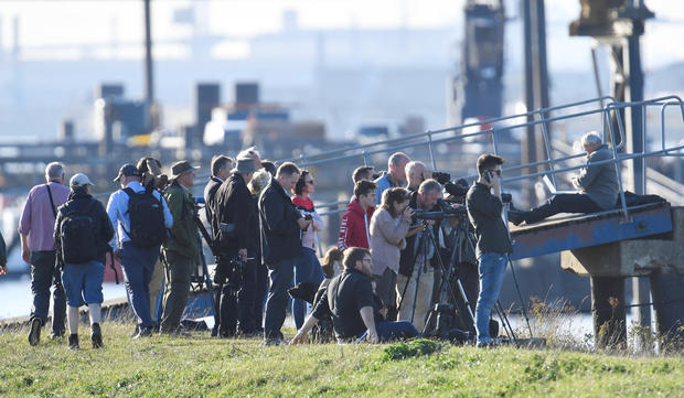 People look from the river bank after a beluga whale was spotted in the River Thames near Gravesend east of London 