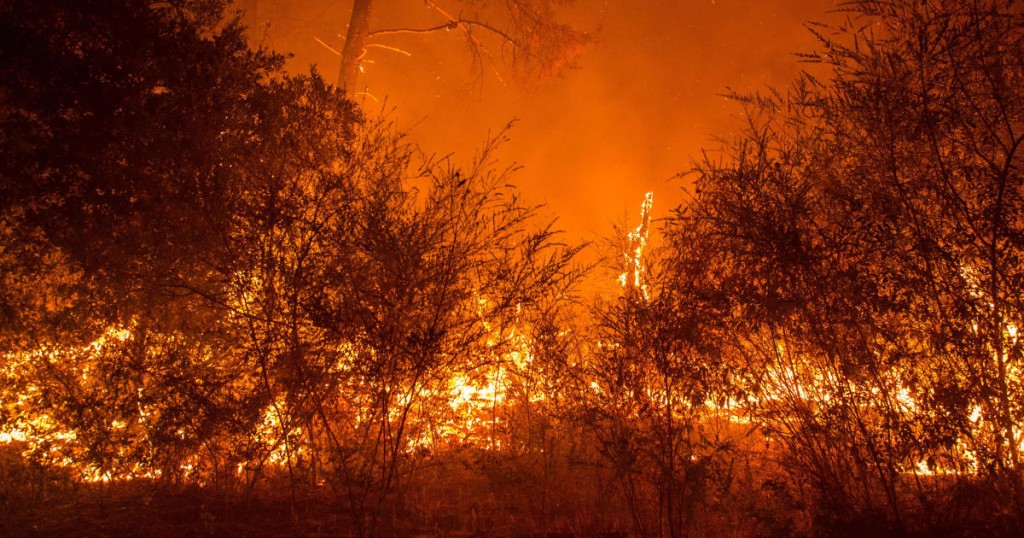 Fire churns up dried brush in the Santa Cruz Mountains near Loma Prieta