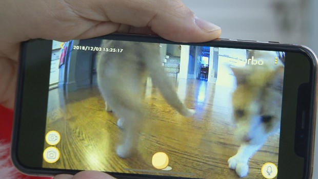 furbo-dog-camera-620.jpg 