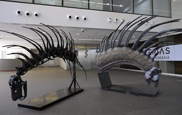 ARGENTINA-PALAEONTOLOGY-DINOSAUR 