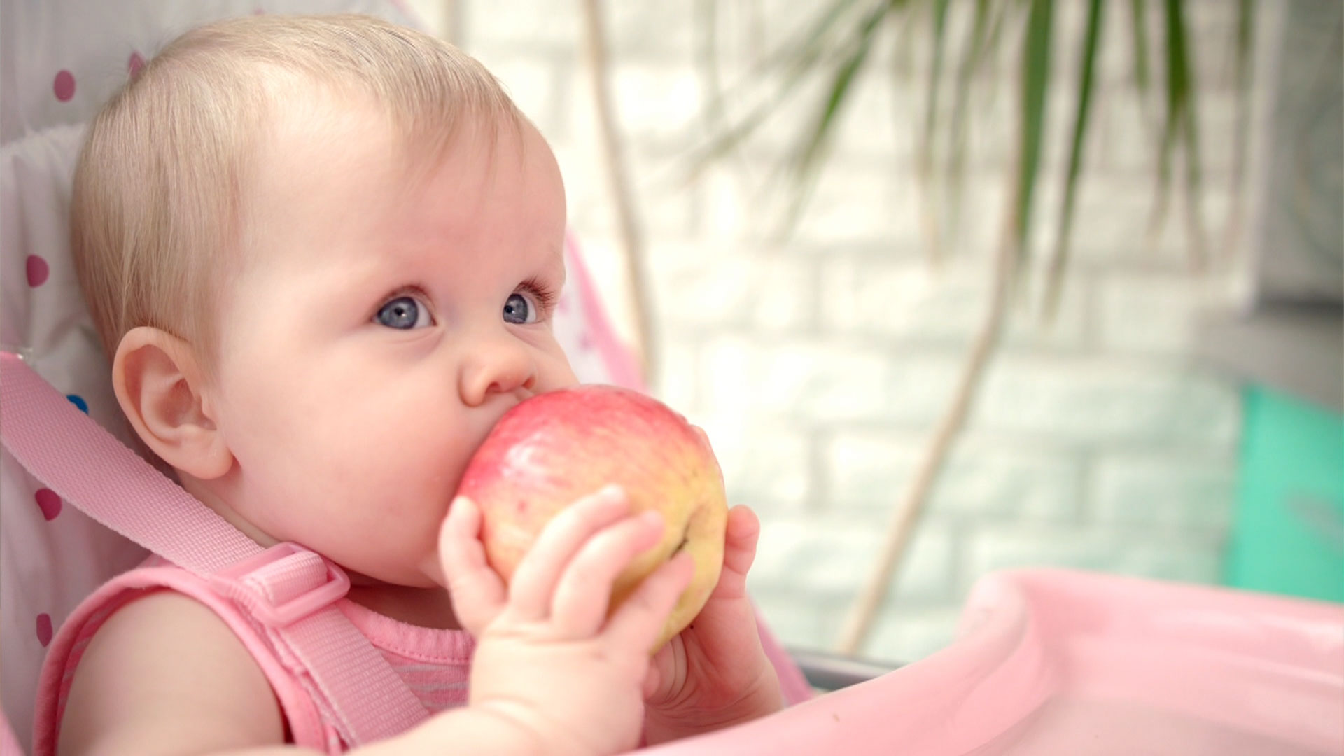 Baby eating apple