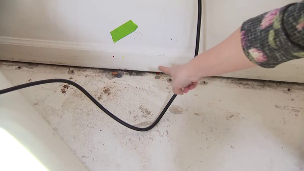 190307-military-housing-black-mold.png 